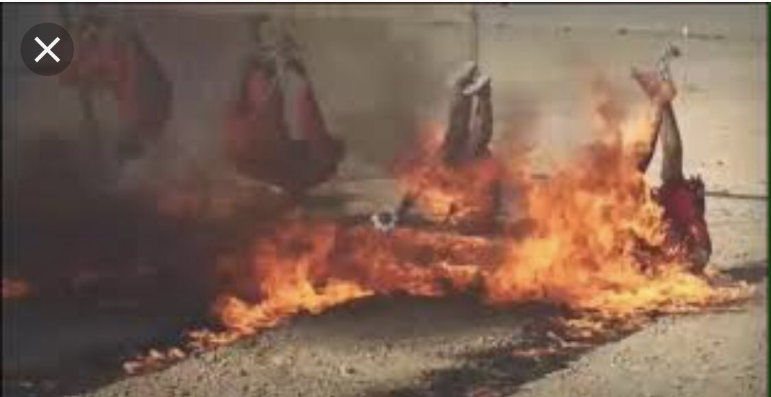 Greg Shephard tweet media