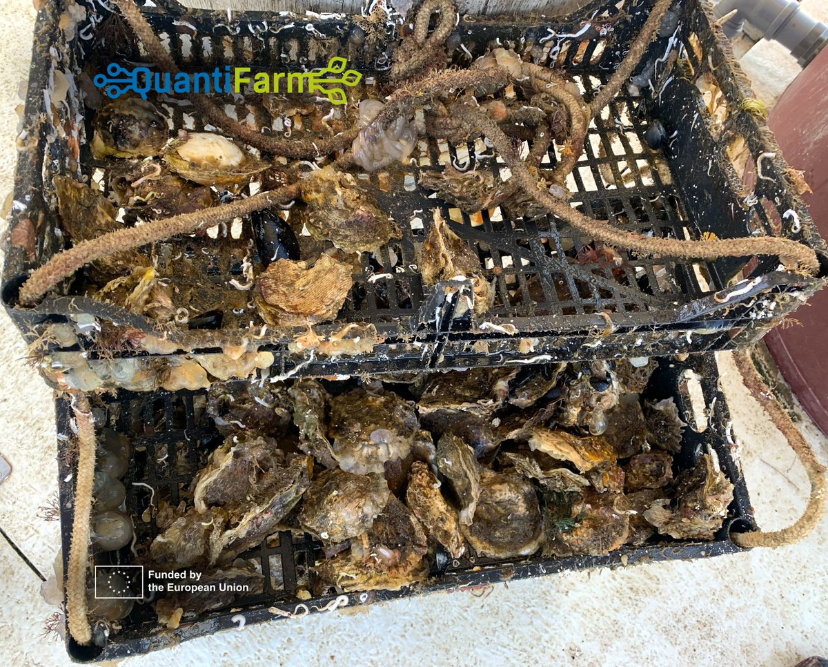 QuantiFarm tweet media