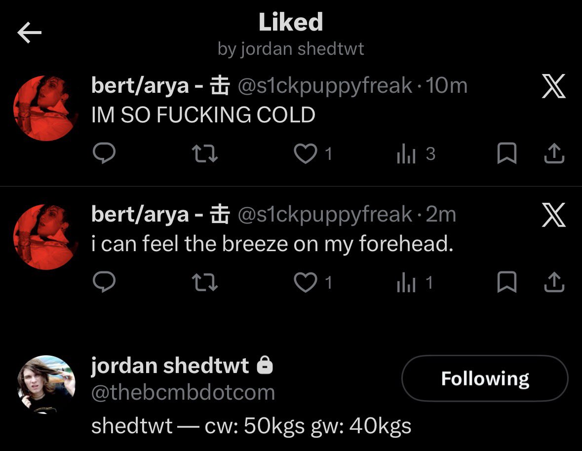 bert/arya - 击 tweet media