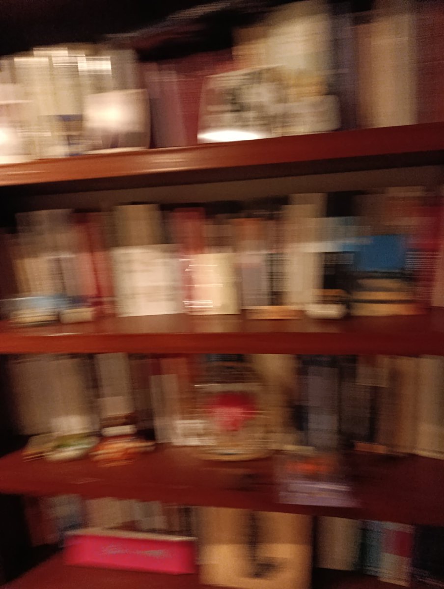 Federico Guzmán Rubio tweet media