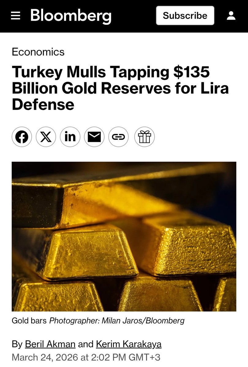 Berna Gülpınar tweet media