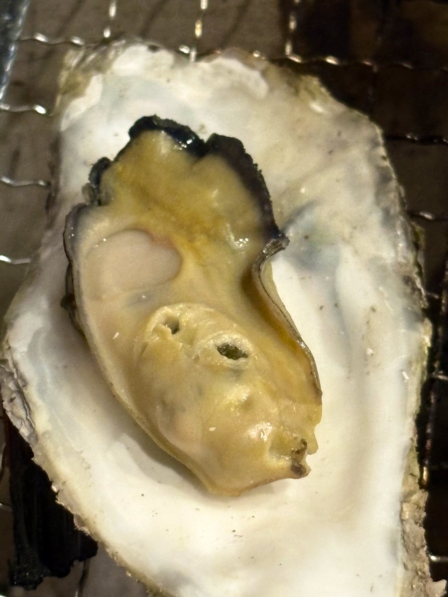 冬川 蒼真（鮎瀬 凪） tweet media