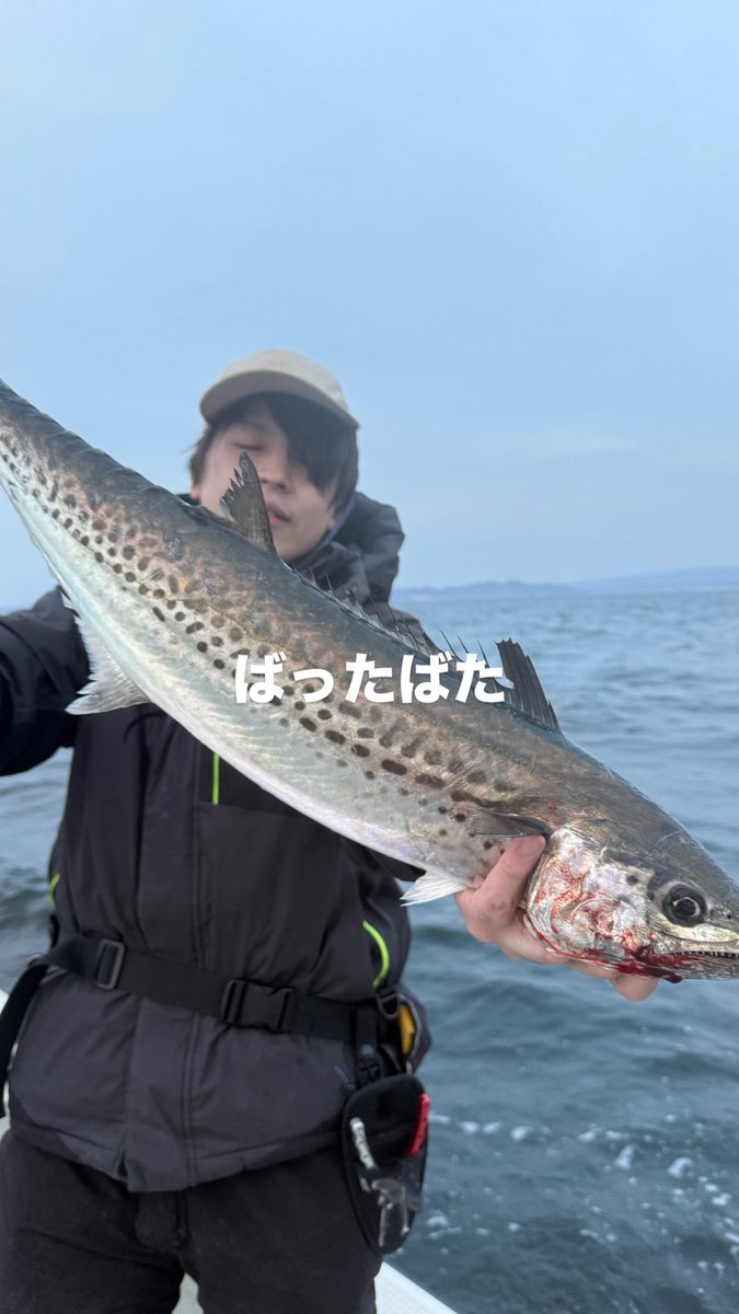 甲斐 拓也 @東京湾 ガイド船BASE tweet media