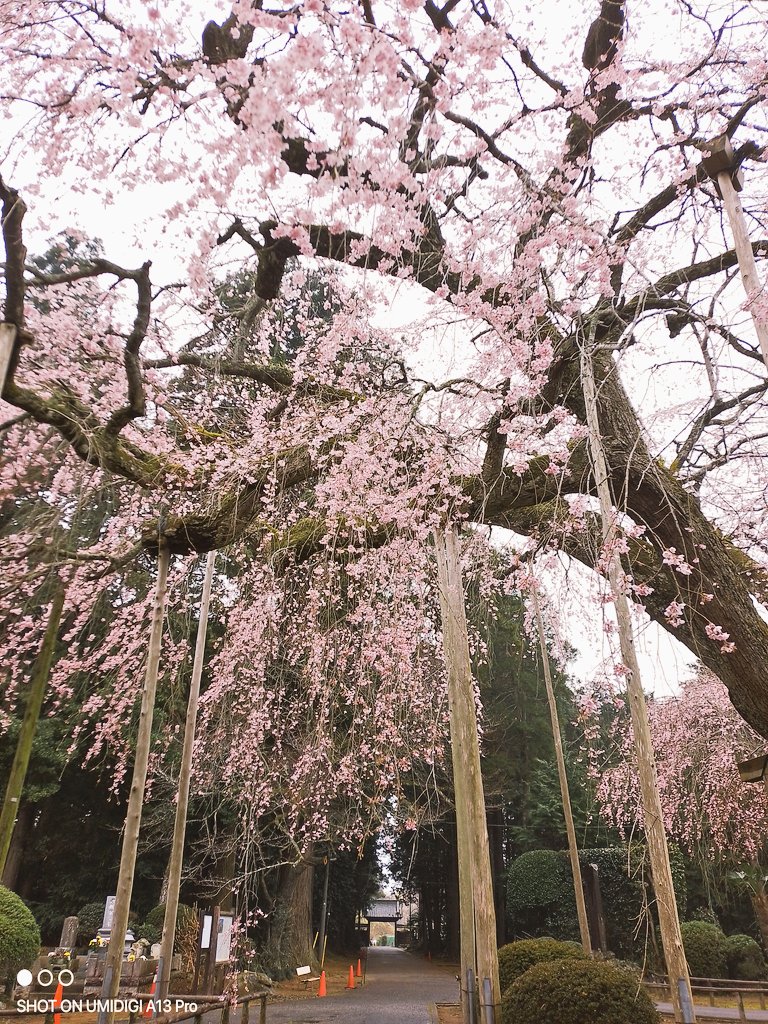 宇津木　愛 tweet media