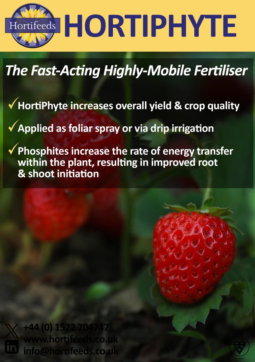 Hortifeeds's tweet photo. HortiPhyte
Boost #root and shoot #growth 🌱
Powered by #potassium phosphite for enhanced #phosphorus uptake, promoting stronger #plant health and disease resistance
⭐️Perfect to combat phosphorus deficiencies
#PlantHealth #RootDevelopment #Hortifeeds #Horticulture #agronomy