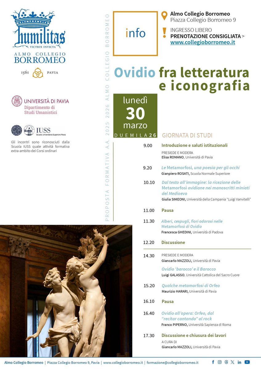 MariangelusAccursius tweet media