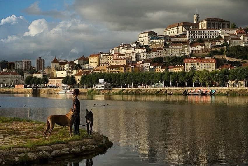 BoraPraPortugal's tweet image. 📍Coimbra 🇵🇹 

#coimbra #portugal #walkabout