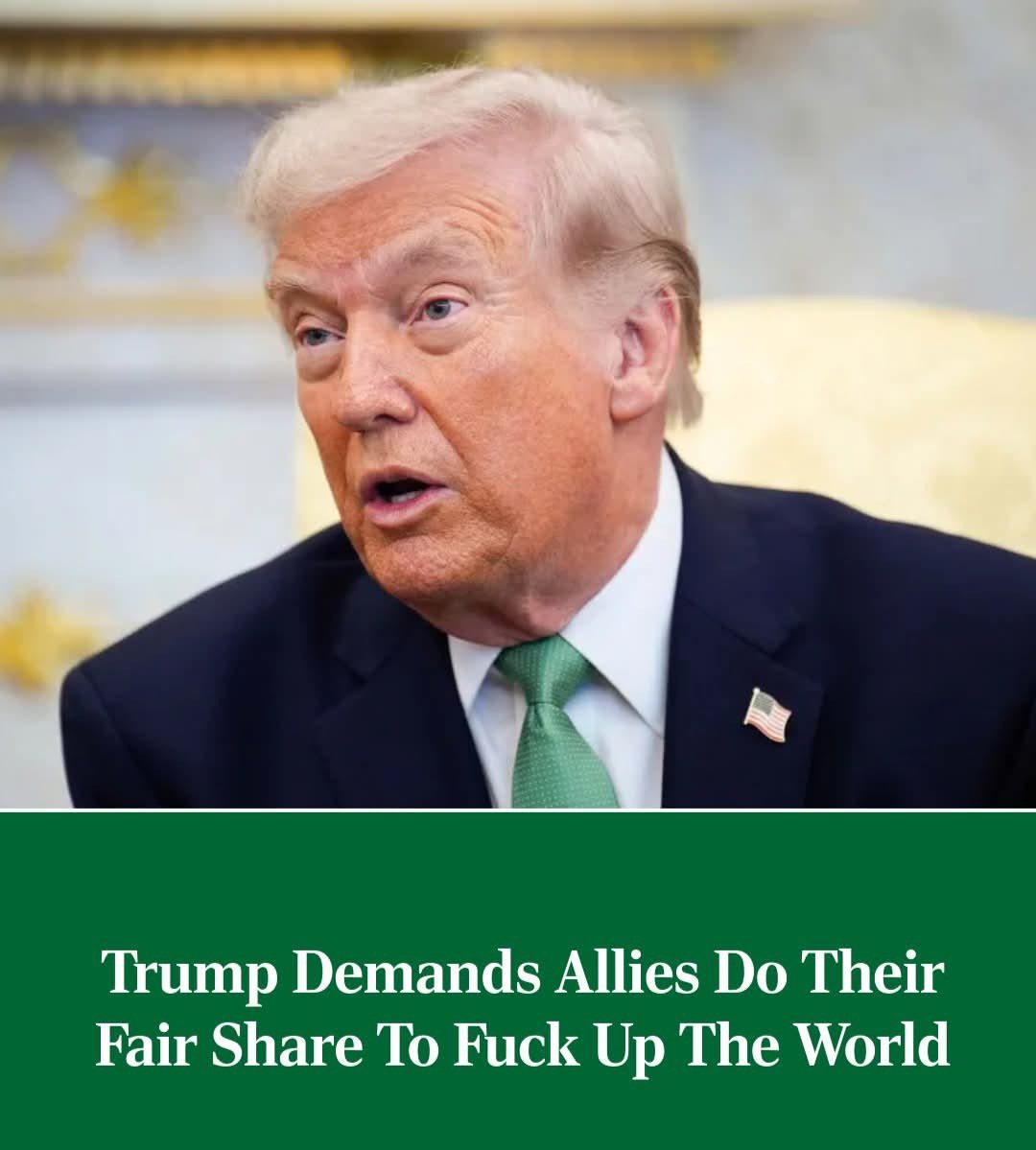 The Recycled Brain tweet media