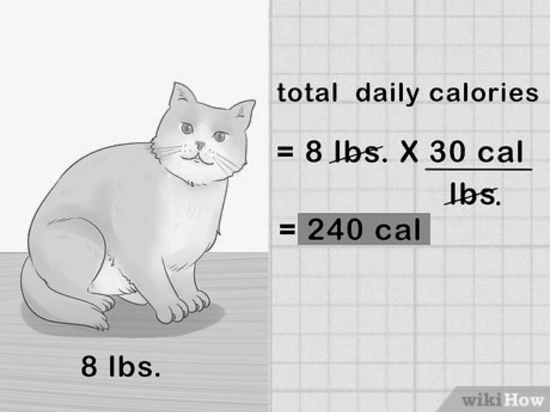 omen ⋆✴︎˚｡⋆ tweet media