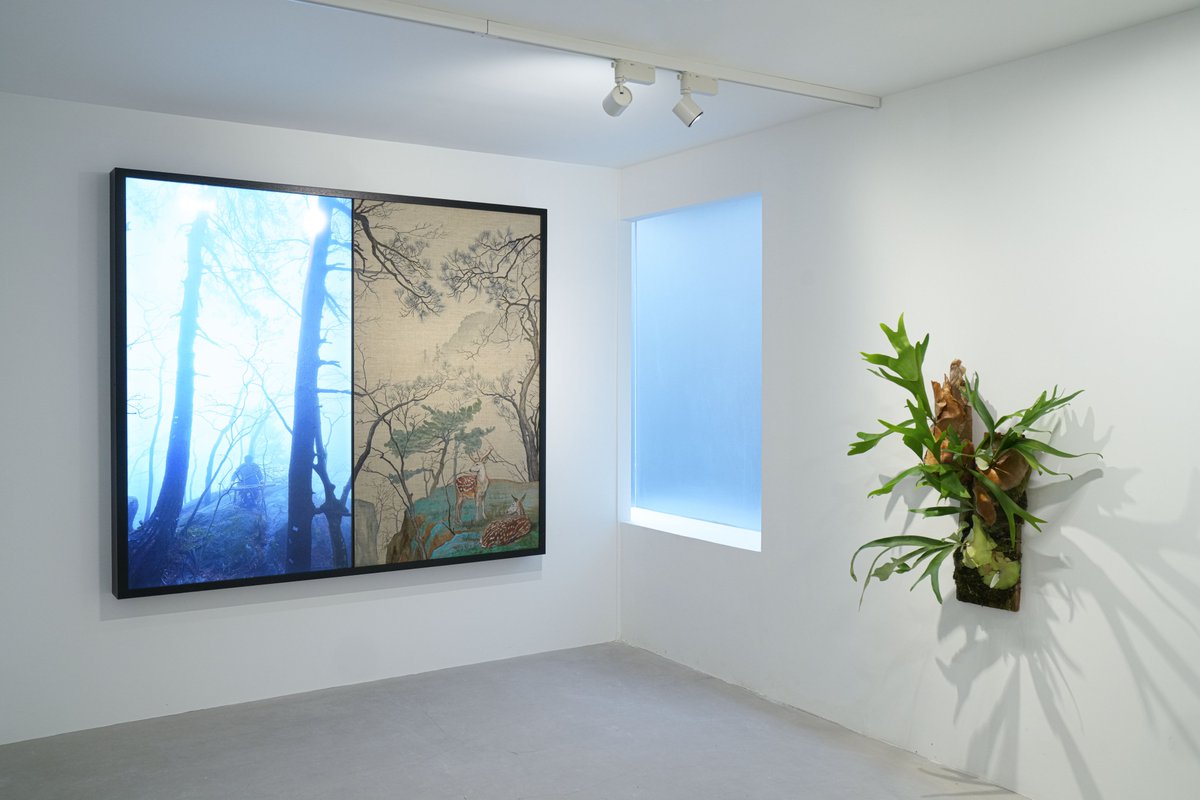 pearllamprojects tweet media