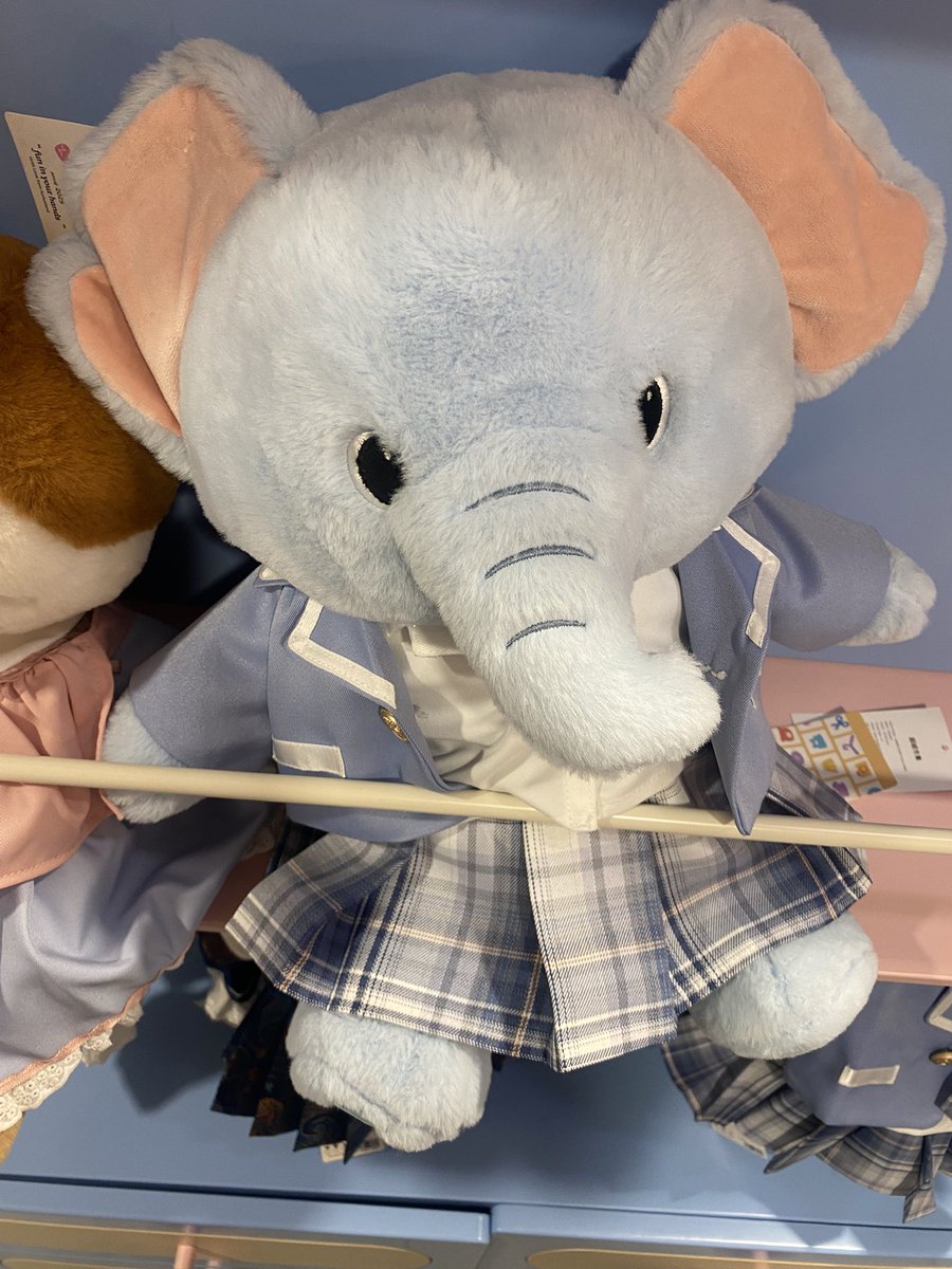 Roga balik SMA jadi y/n