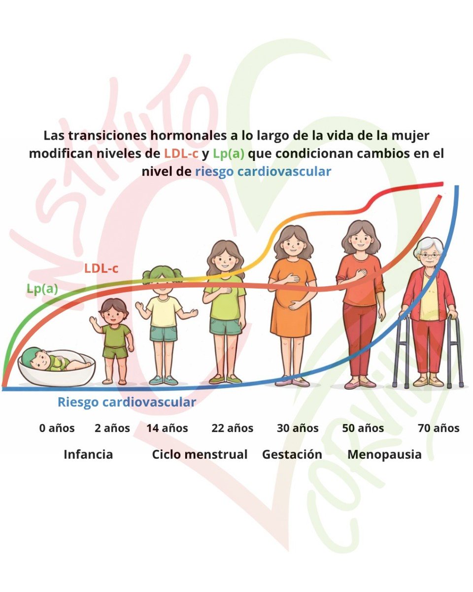 icorvilud's tweet photo. Lp(a) AWARENESS DAY
✅Biomarker that further predicts CV risk
✅Once in life recommended measurement
✅Repeat after menopause
✅Treatment might be available soon
#knowyourlpa #lpainsights #pelacarsen #olpasiran #lepodisiran #muvalaplin #zerlasiran #acc26 #smalllpa #lifeiswhy https://t.co/DhuXht6vhK