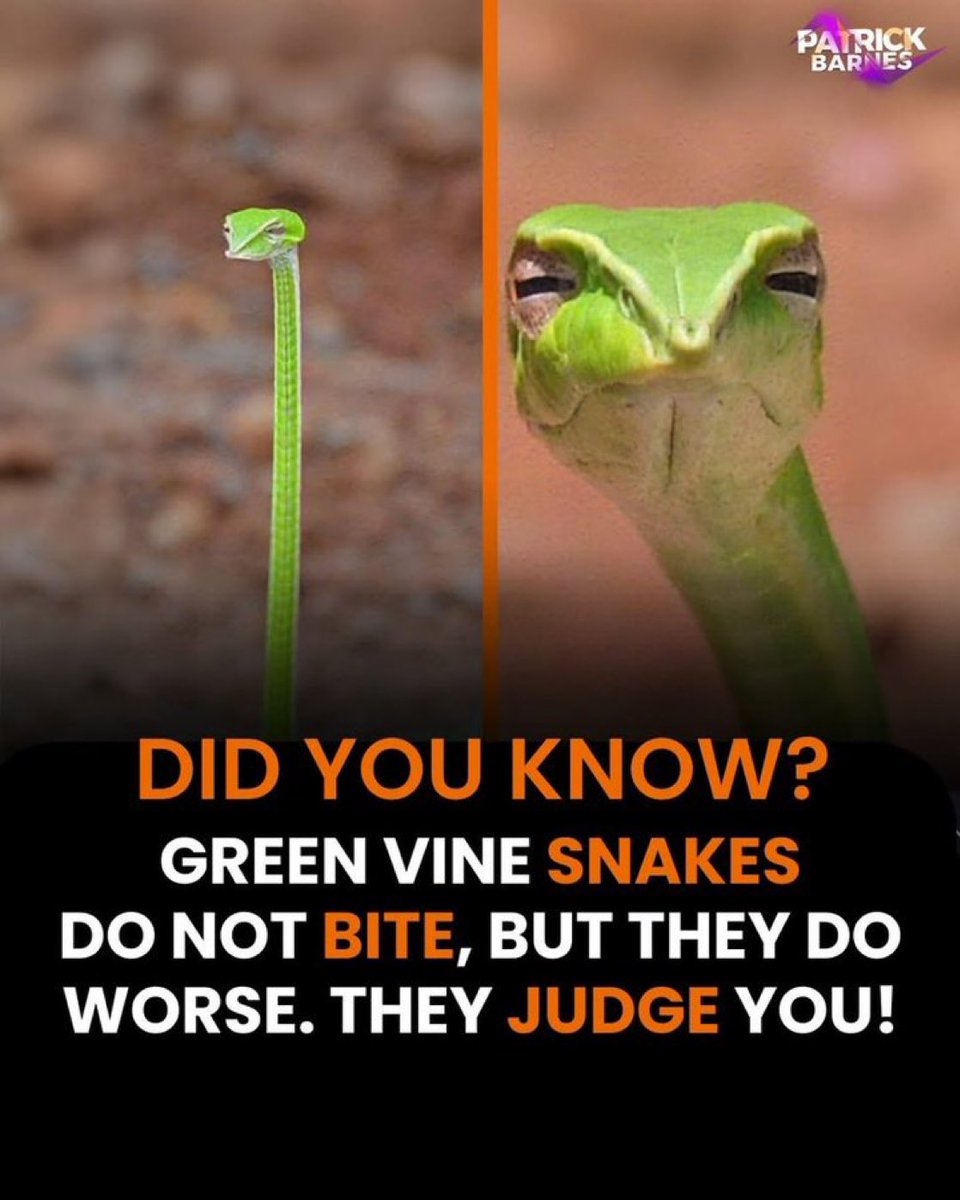 Natasha Nlade 🩵🩵🩵 (@captivat1ng) on Twitter photo 