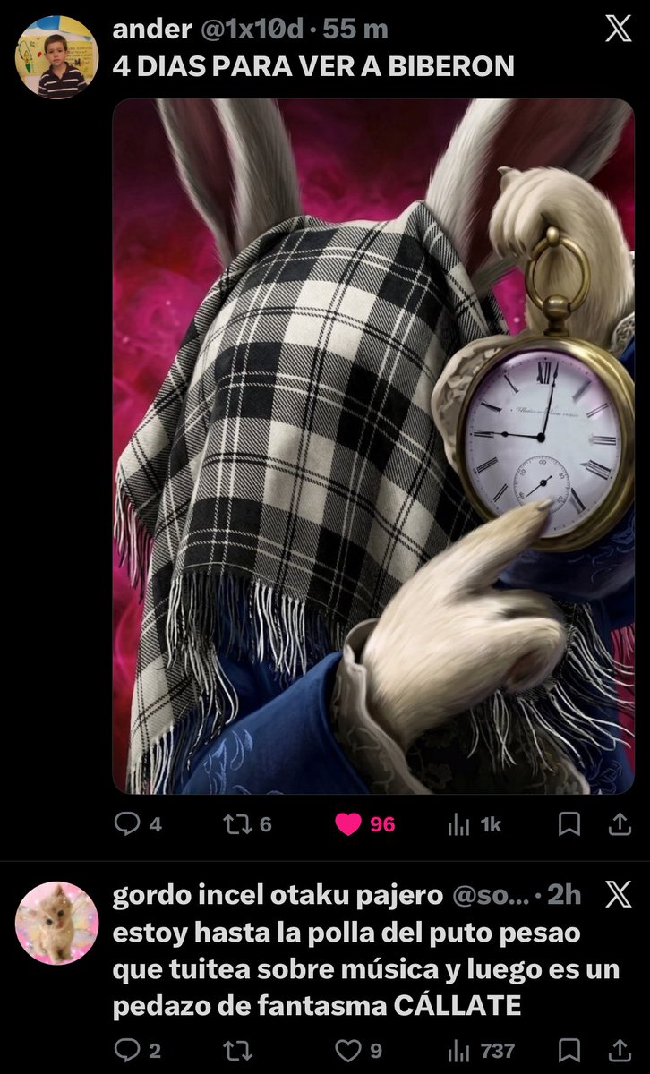 zorra 🍱🥢 tweet media