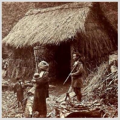 늬들이하니까나도함 tweet media