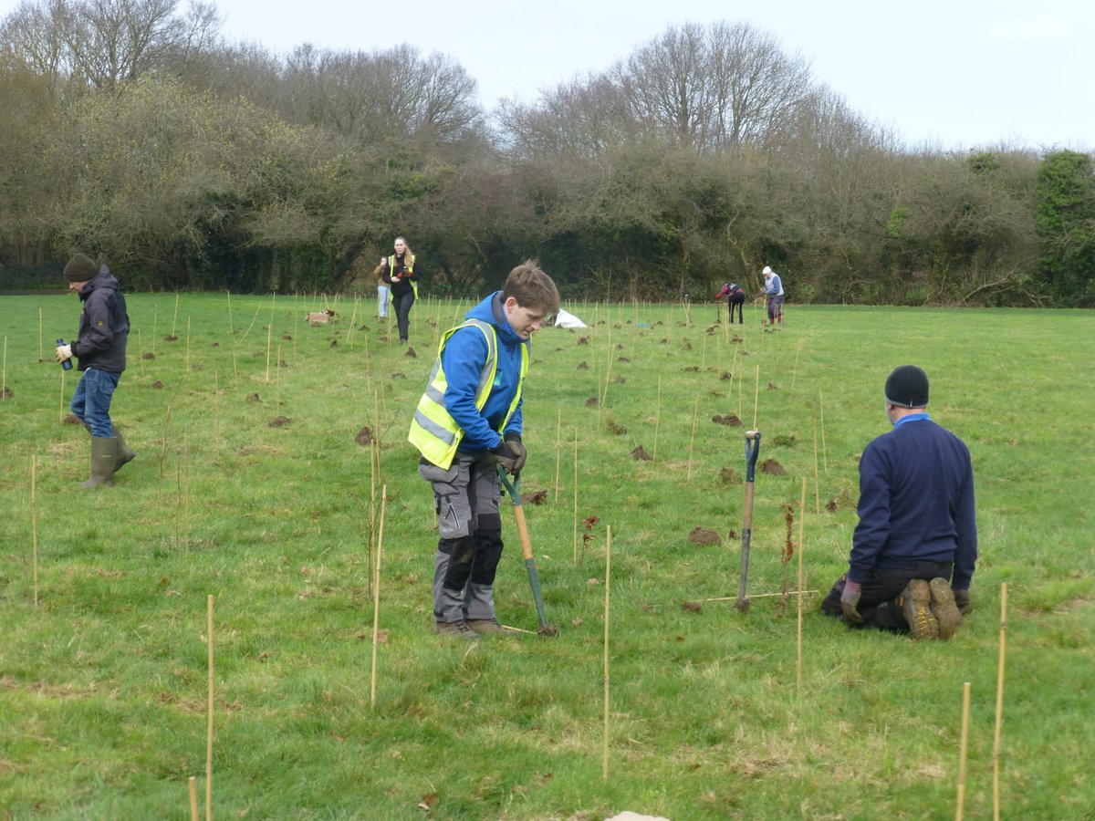 Thames Chase tweet media