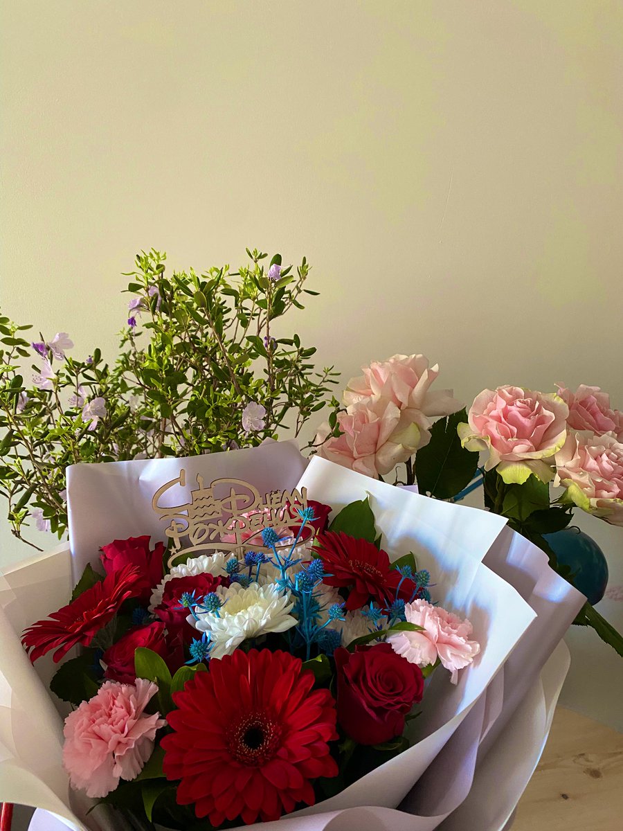 редшайн tweet media