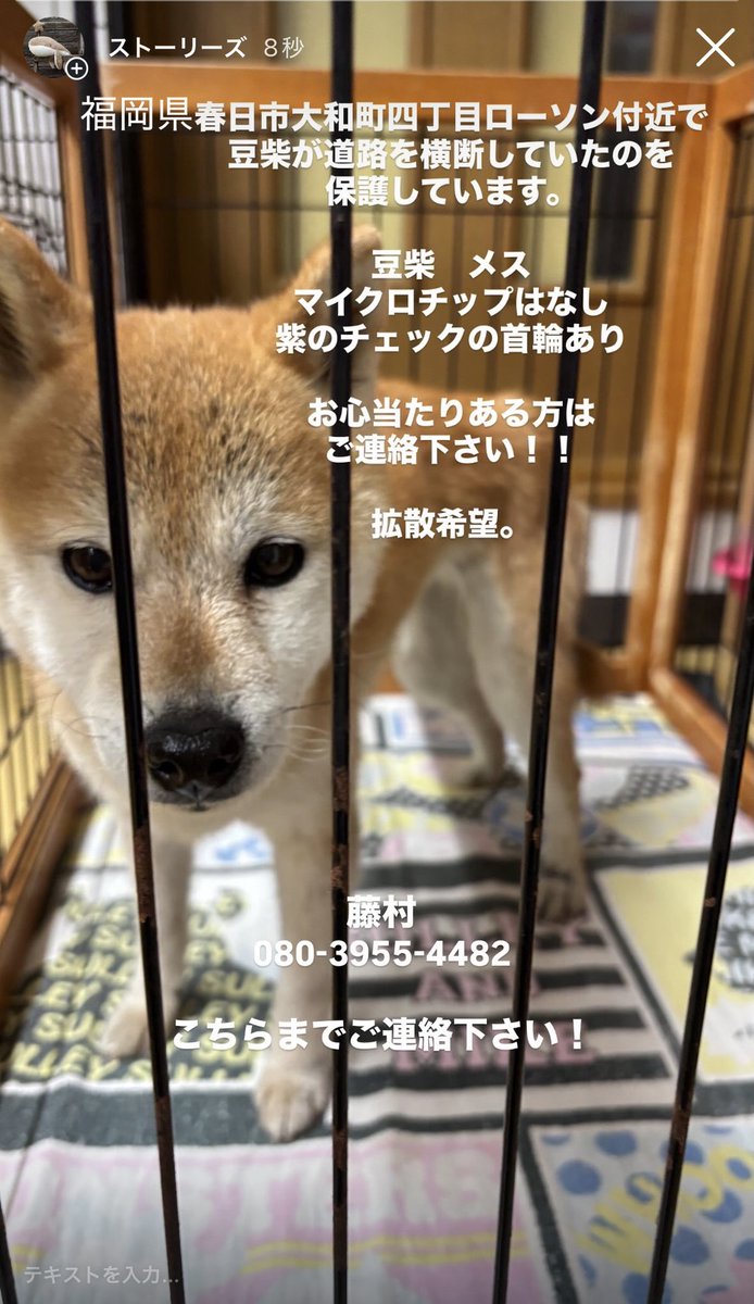 ジョニー2号機 tweet media