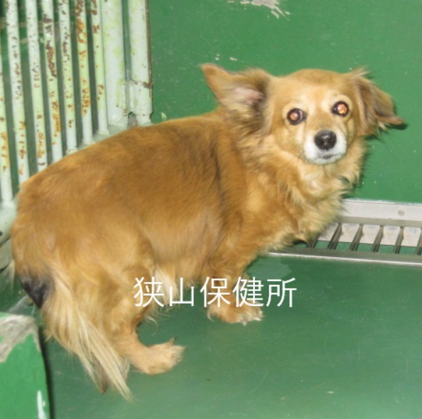 くるみmama tweet media