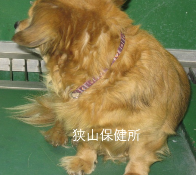 くるみmama tweet media