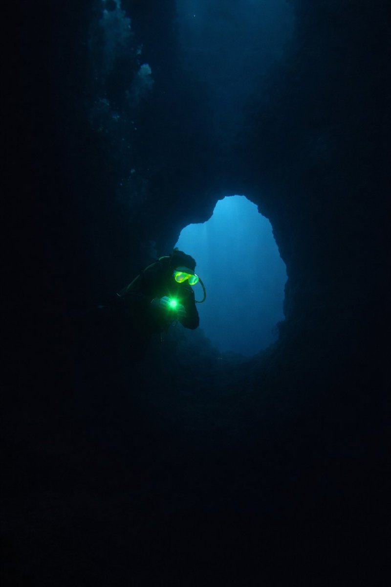 gblue_xyz's tweet photo. The free mint doesn’t make you a player.

Going deeper does.

Tier 0 caps at 500 DEPTH  
and then your vault is dead. Forever.

No boosts. No recharge. No scale.

Meanwhile:

Reef (1) 1000 
Sunlit (2) 2500
Twilight (3) 7500
Abyss (6) 60,000
Mariana (9) 500,000

Same system. Different outcomes.

Mint free if you want.

Upgrade if you actually want to earn.

https://t.co/iC8XXfyrEt