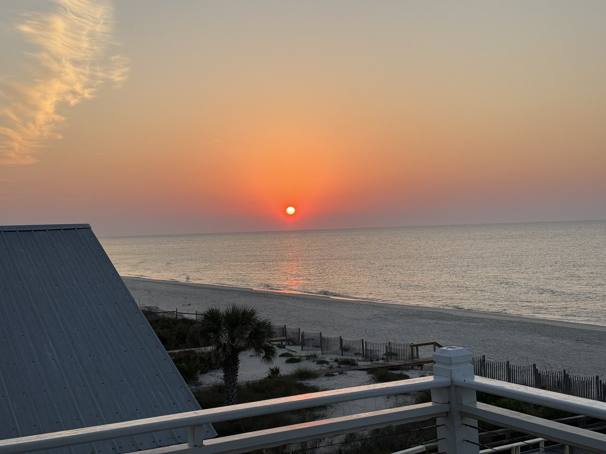 Scott McClellan tweet media