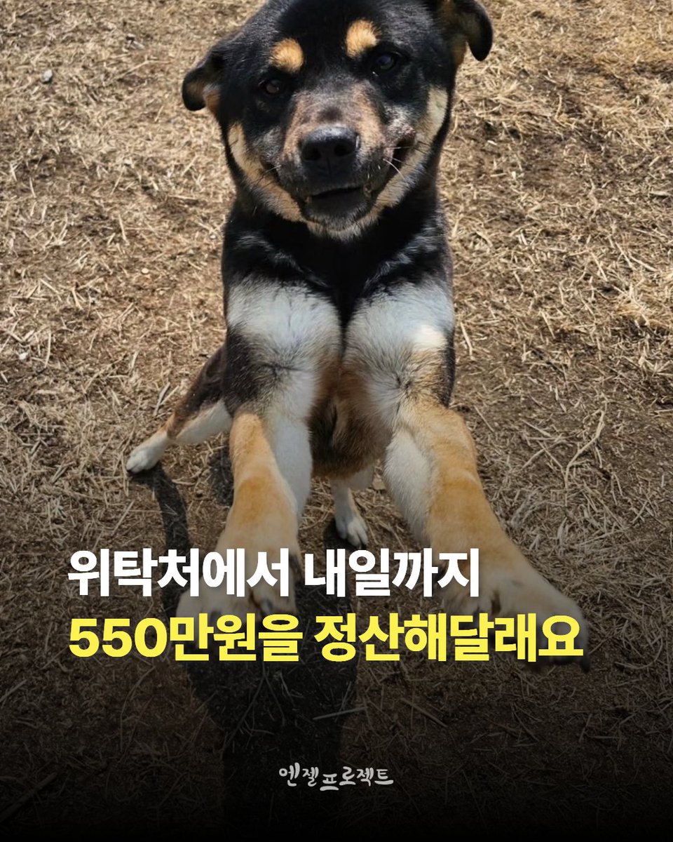 눈누난나❤(사)엔젤프로젝트 tweet media