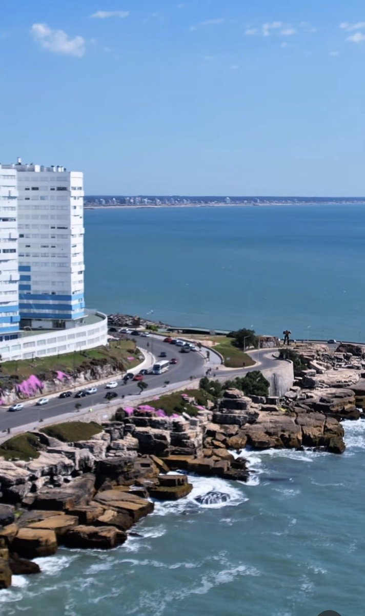 ANA 💛 tweet media