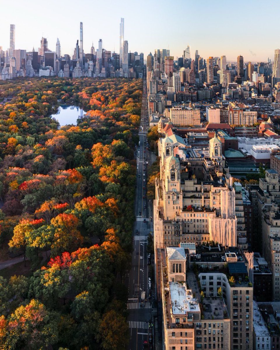 The World Update tweet media