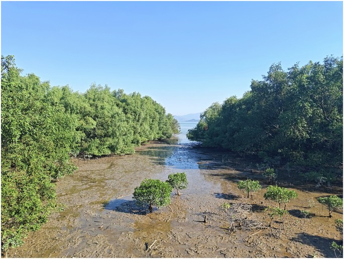 Communications Earth & Environment tweet media