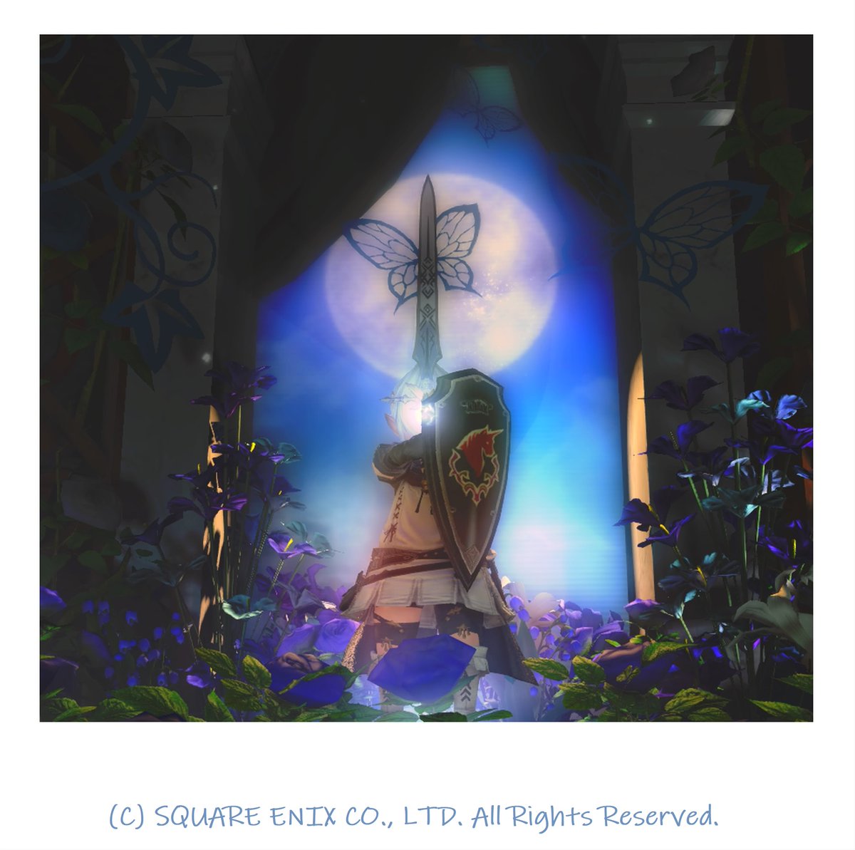 しろゆき@🌸🌙たまねぎ🌙🌸 tweet media