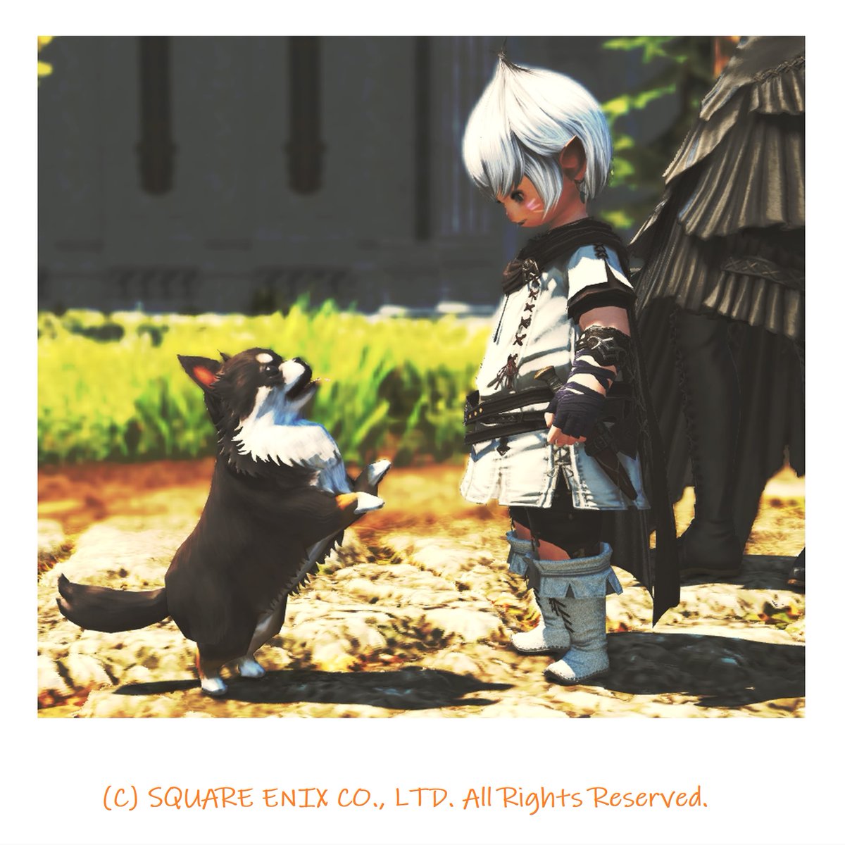 しろゆき@🌸🌙たまねぎ🌙🌸 tweet media