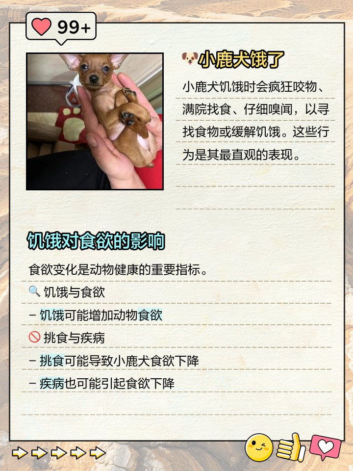 Quiara Colmenarez tweet media