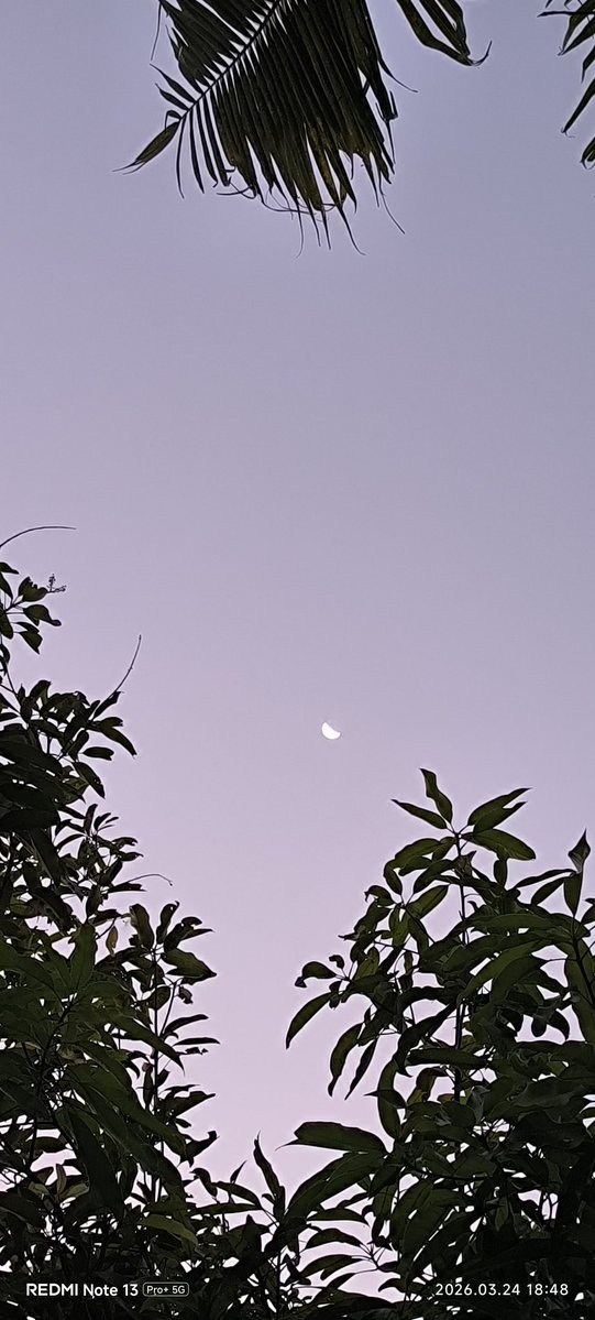 PureBB.BB1A tweet media