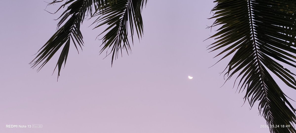 PureBB.BB1A tweet media