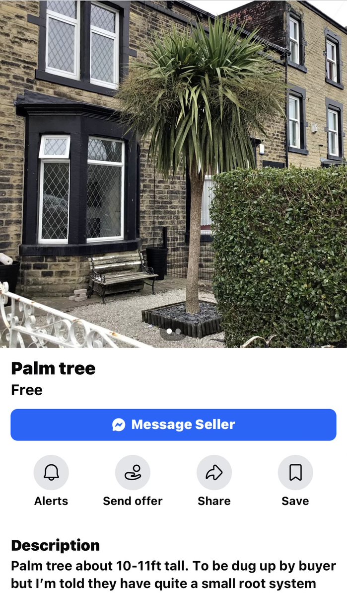 ScotsVix 🦋🦋🦋 tweet media