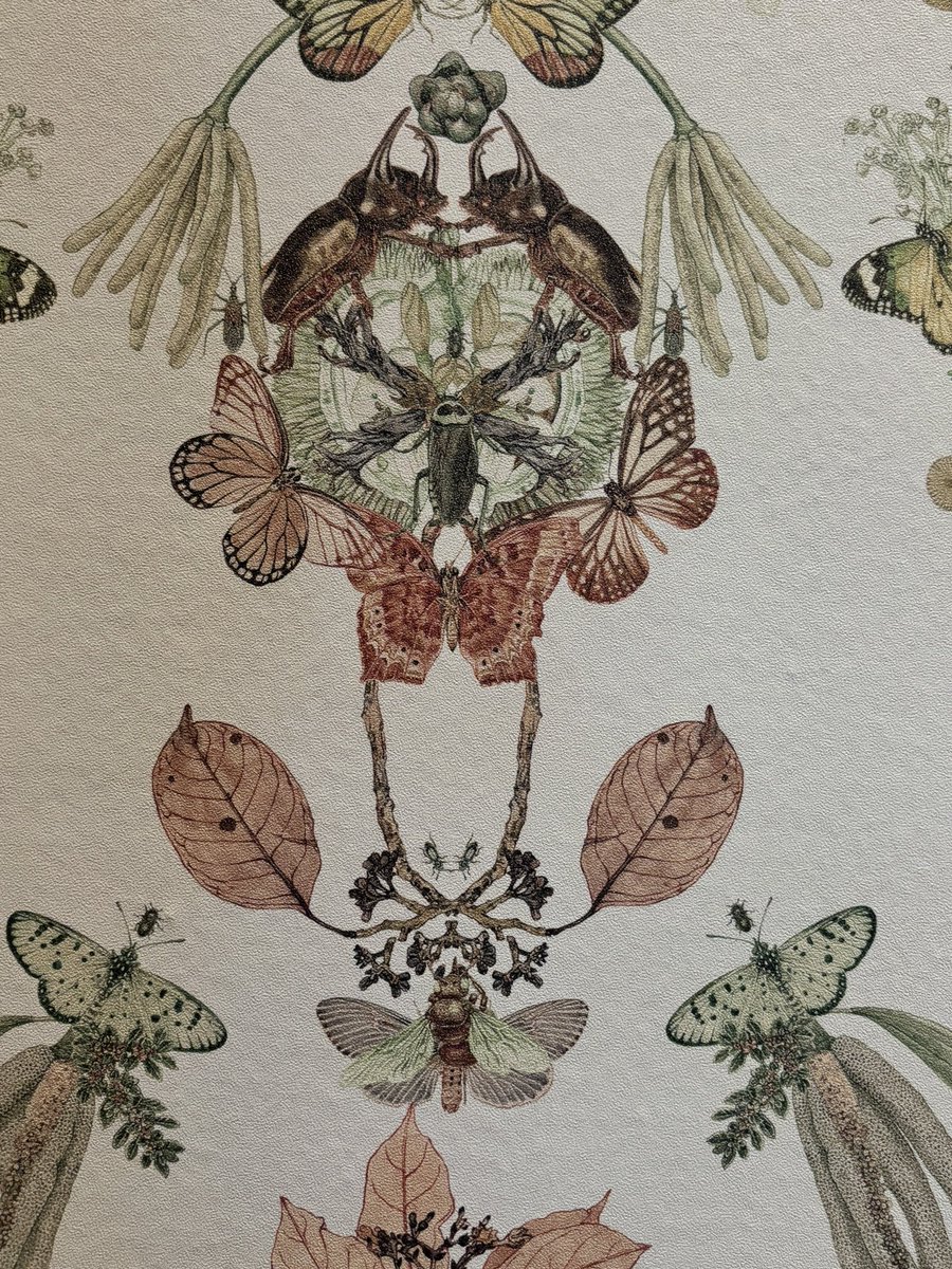 timutteridge's tweet photo. Details of the wallpaper depicting Singapore’s biodiversity: brown - extinct, light green - native, dark green - introduced/invasive. @nparksbuzz #botanicalart #SBGScience https://t.co/iQEWKmRGCk