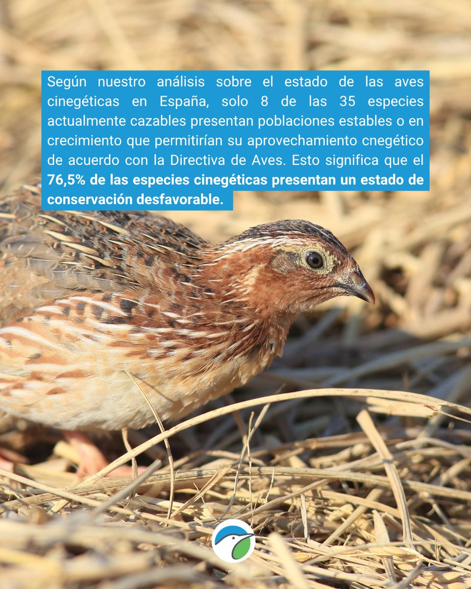 SEO/BirdLife tweet media