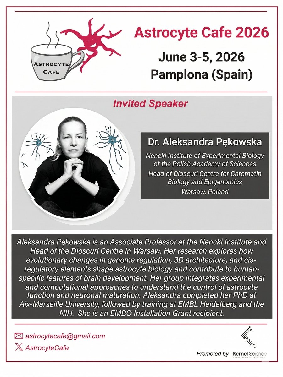 AstrocyteCafe tweet media