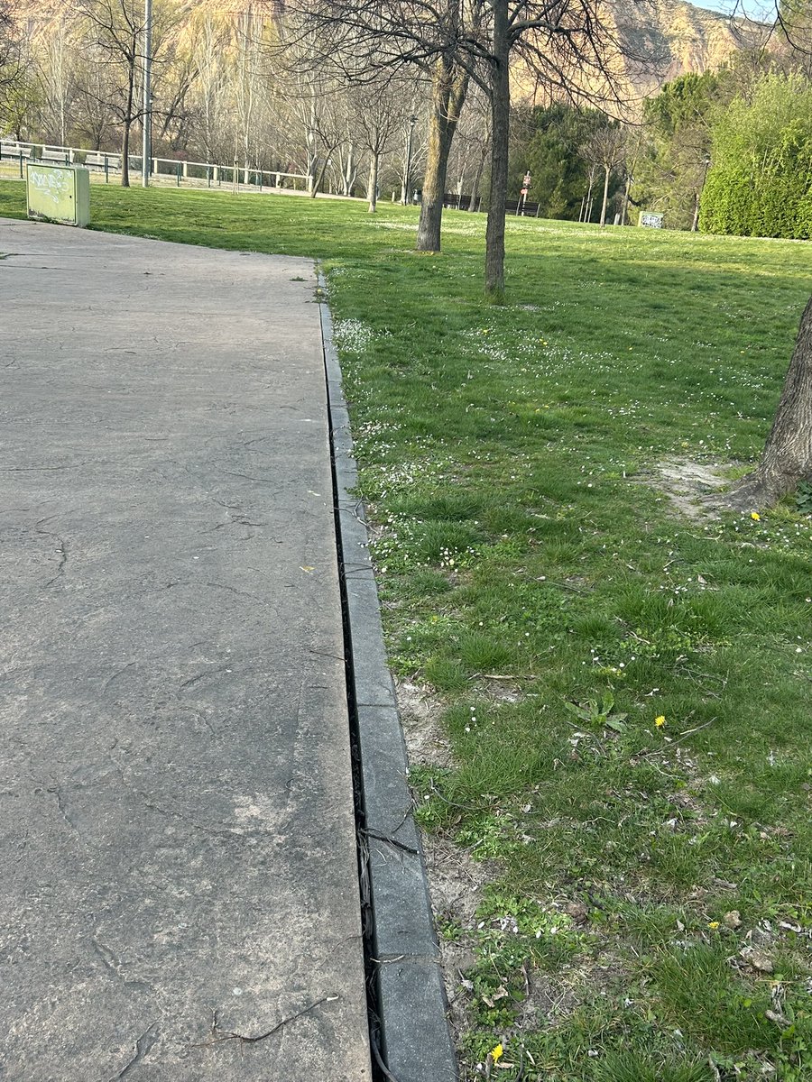 Bosque de la Danza tweet media