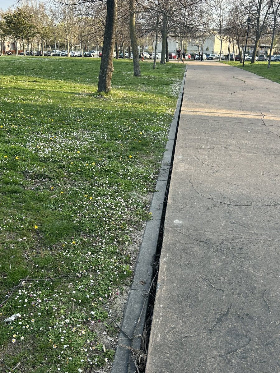 Bosque de la Danza tweet media