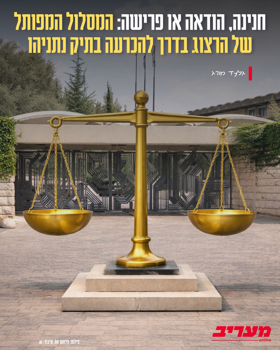 מעריב | Maariv tweet media