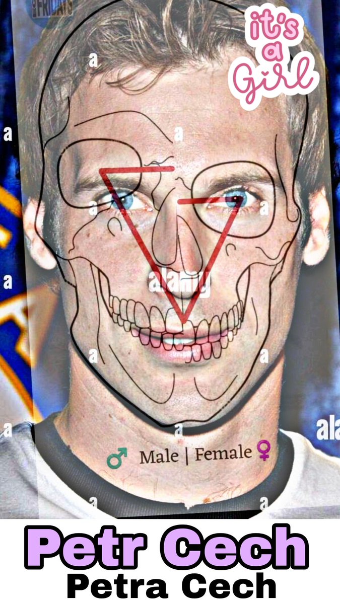 Brian_Awakened1's tweet image. Petr Cech #egi #PetrCech #Czechia #Chelsea #Arsenal #AllFootballersAreInverted #ItsAllOfThem