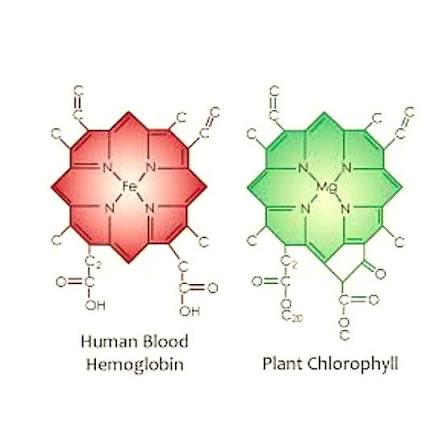Christian James tweet media