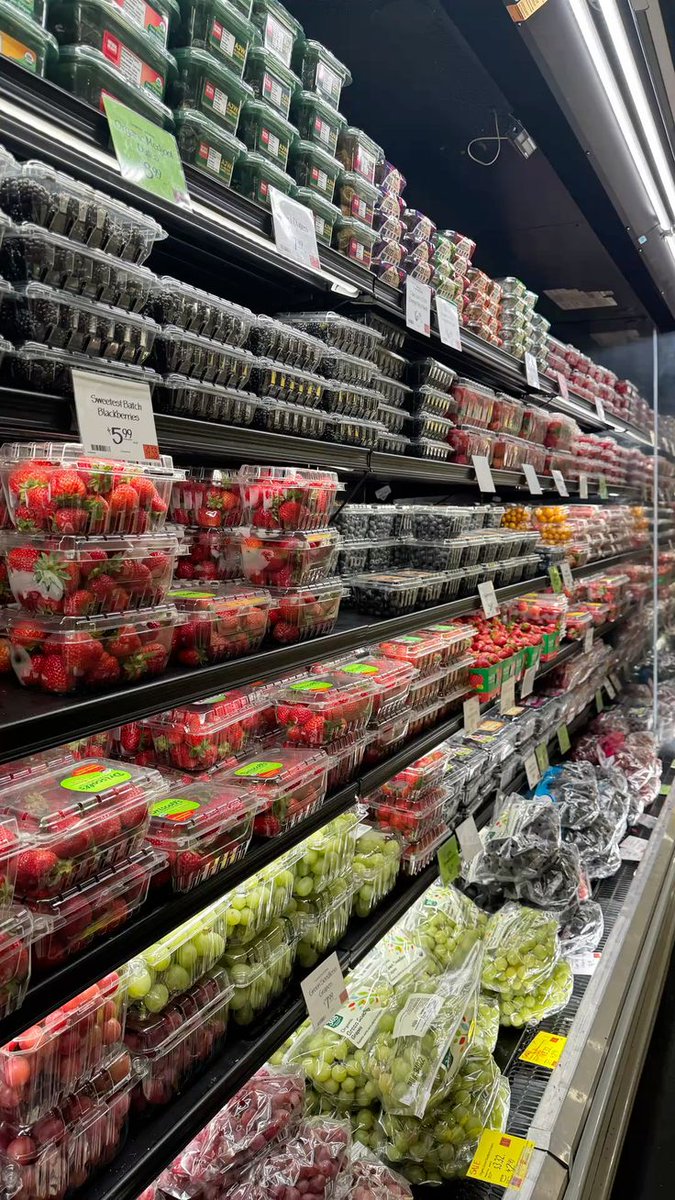 𝓝athania 𝓢heanette。 tweet media