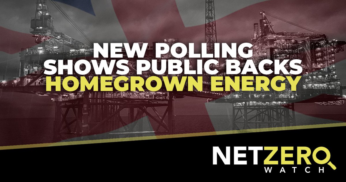 Net Zero Watch tweet media