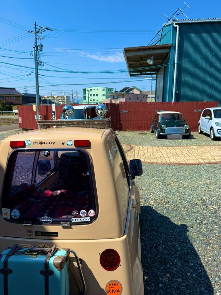 蝉時雨 tweet media