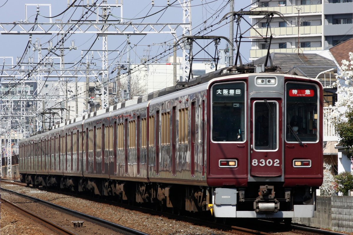 びくはて tweet media