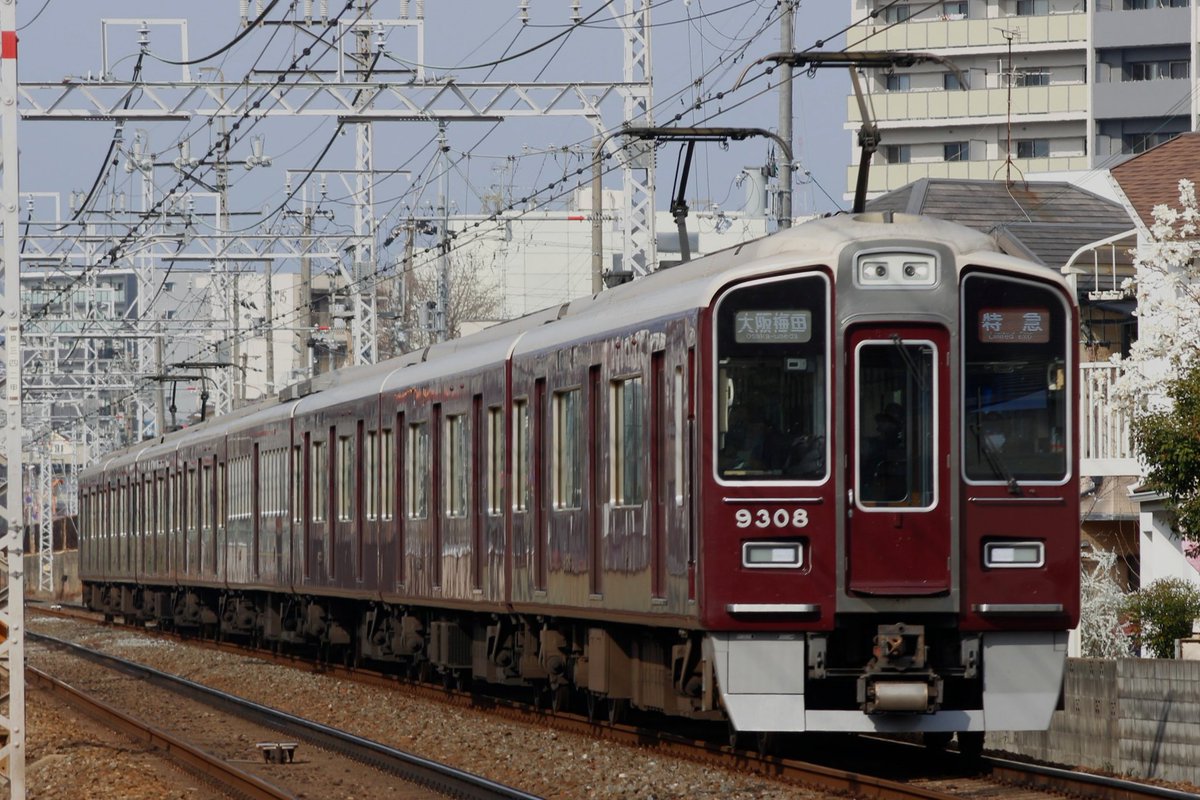 びくはて tweet media