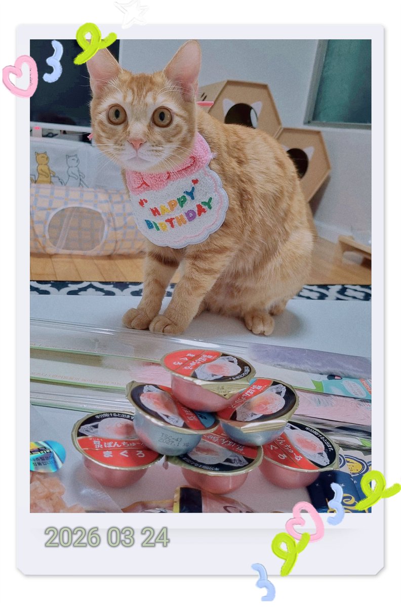 쉬는중😴하나🌻 tweet media